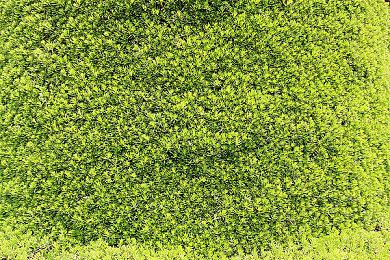 拳头打击《无畏契约》载入提前抢角色手机应用