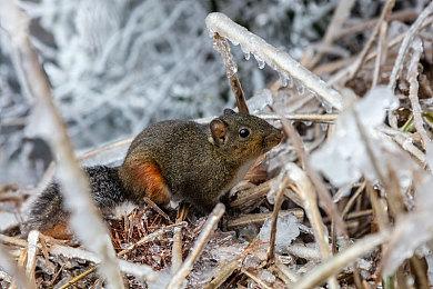 《咩咩启示录》官方不满Unity新策略 威胁要下架游戏