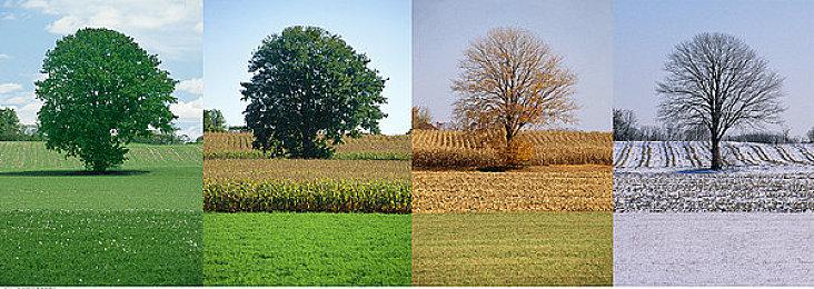 SIE注册新商标Intergalactic: The Heretic Prophet