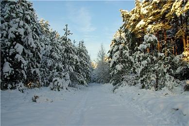《暗黑4》在韩国遭冷落：直播现场几乎没观众 要凉了？
